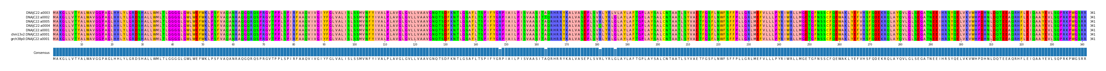 Multiple Alignments (by translate haplotype similarity)