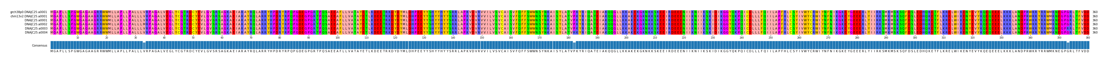 Multiple Alignments (by translate haplotype frequency)