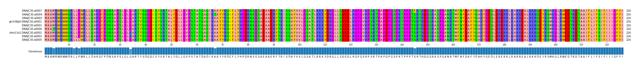 Multiple Alignments (by translate haplotype similarity)