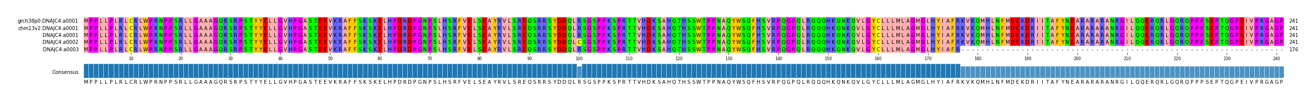 Multiple Alignments (by translate haplotype frequency)