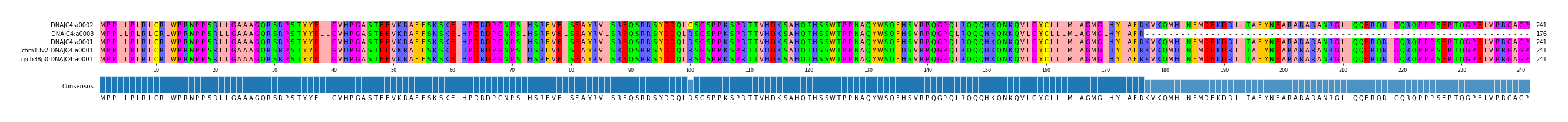 Multiple Alignments (by translate haplotype similarity)