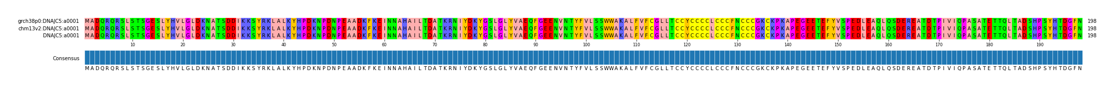 Multiple Alignments (by translate haplotype similarity)