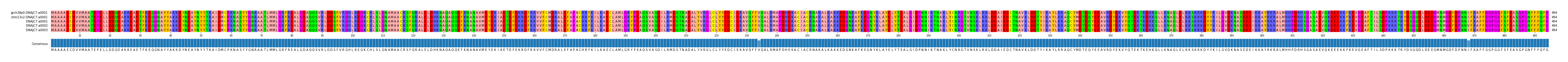 Multiple Alignments (by translate haplotype frequency)