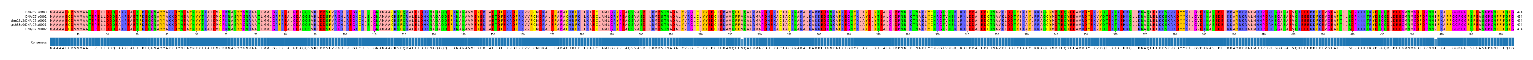 Multiple Alignments (by translate haplotype similarity)