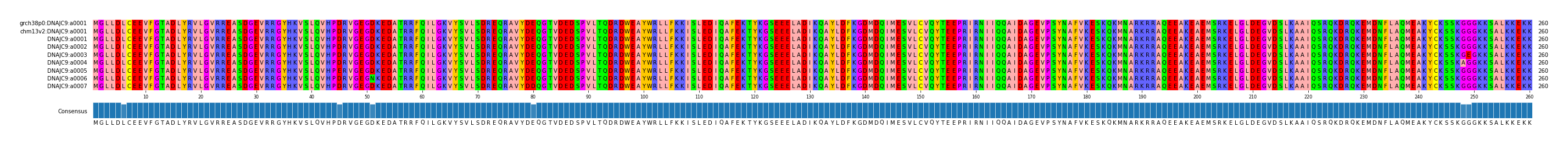 Multiple Alignments (by translate haplotype frequency)