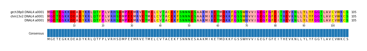 Multiple Alignments (by translate haplotype similarity)