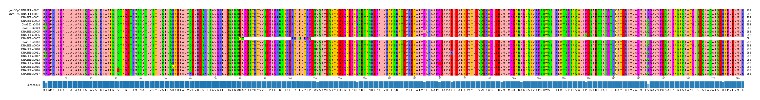 Multiple Alignments (by translate haplotype frequency)