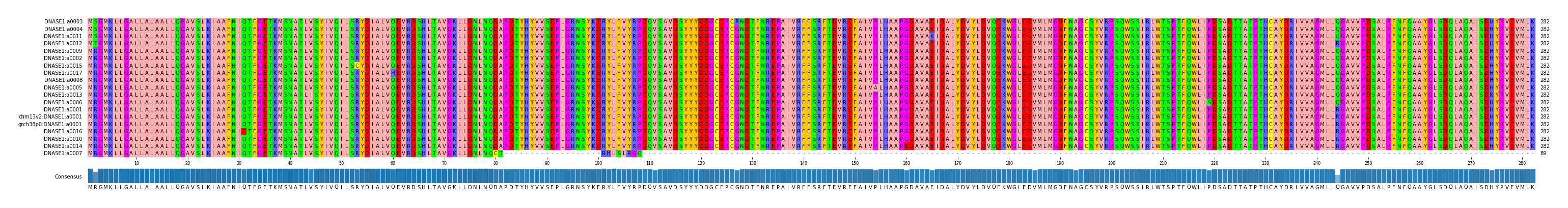 Multiple Alignments (by translate haplotype similarity)