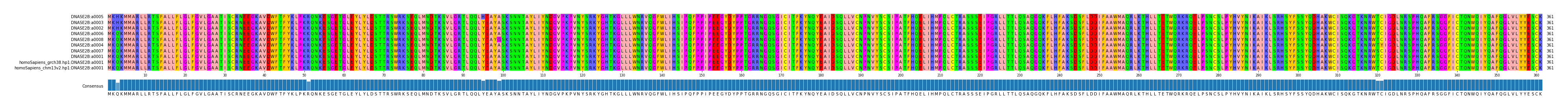 Multiple Alignments (by translate haplotype similarity)