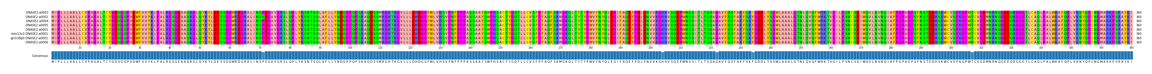 Multiple Alignments (by translate haplotype similarity)