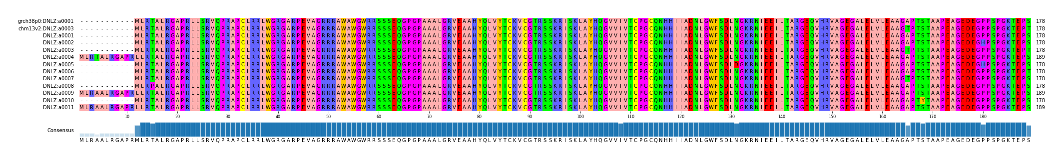 Multiple Alignments (by translate haplotype frequency)