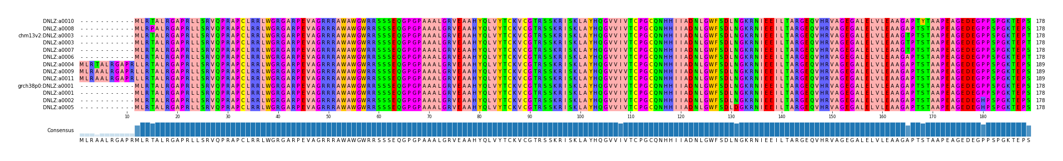 Multiple Alignments (by translate haplotype similarity)