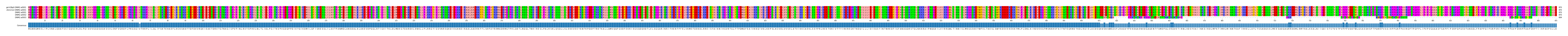 Multiple Alignments (by translate haplotype frequency)