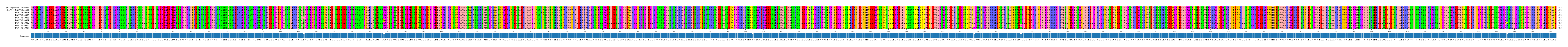 Multiple Alignments (by translate haplotype frequency)