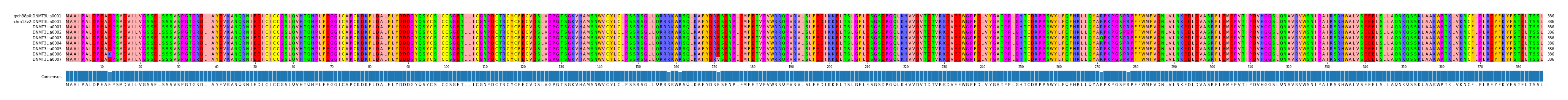 Multiple Alignments (by translate haplotype frequency)