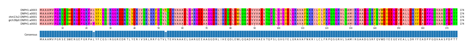 Multiple Alignments (by translate haplotype similarity)
