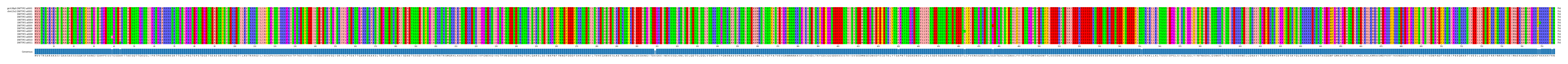 Multiple Alignments (by translate haplotype frequency)