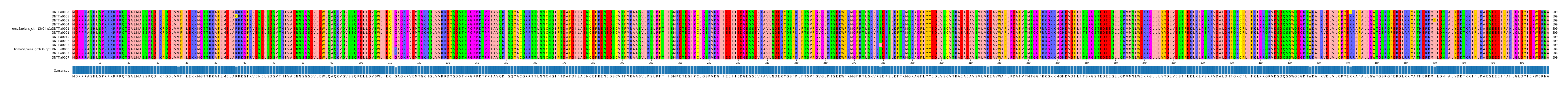 Multiple Alignments (by translate haplotype similarity)