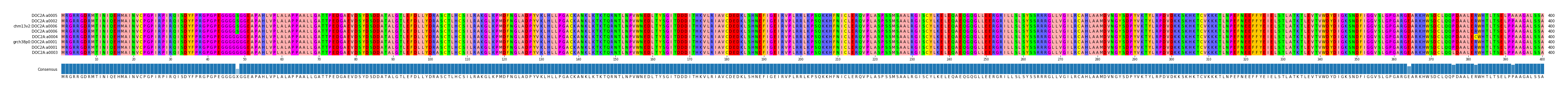 Multiple Alignments (by translate haplotype similarity)