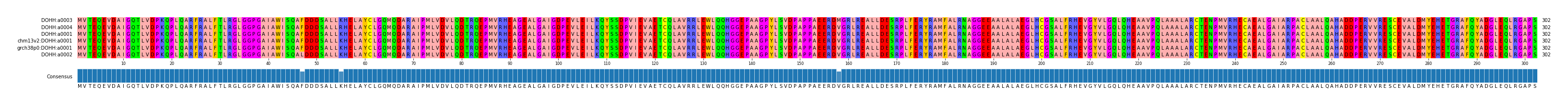 Multiple Alignments (by translate haplotype similarity)