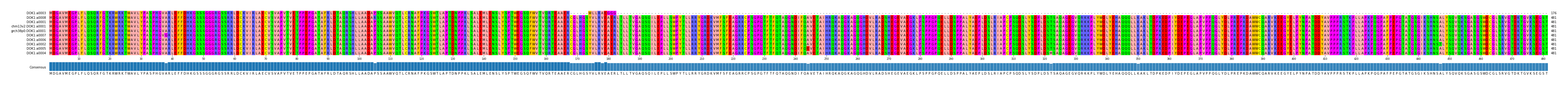 Multiple Alignments (by translate haplotype similarity)