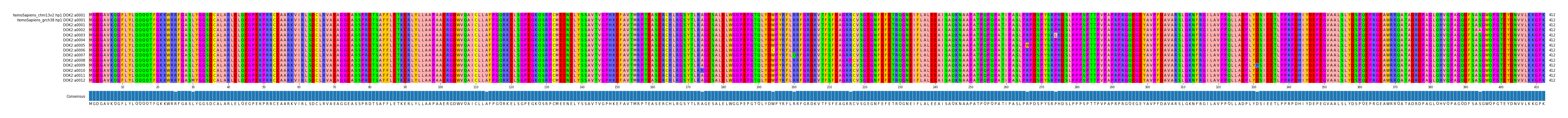 Multiple Alignments (by translate haplotype frequency)