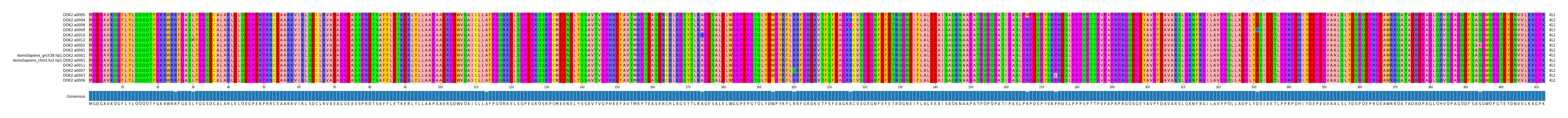 Multiple Alignments (by translate haplotype similarity)