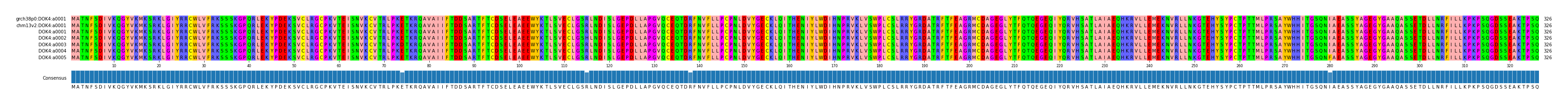Multiple Alignments (by translate haplotype frequency)