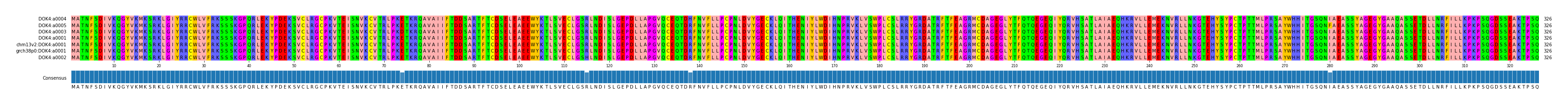 Multiple Alignments (by translate haplotype similarity)