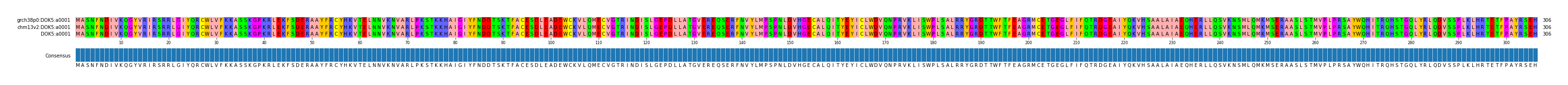 Multiple Alignments (by translate haplotype similarity)