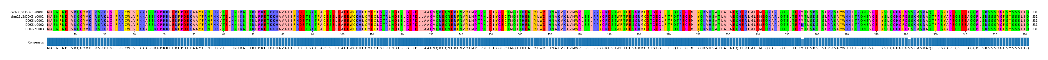Multiple Alignments (by translate haplotype frequency)