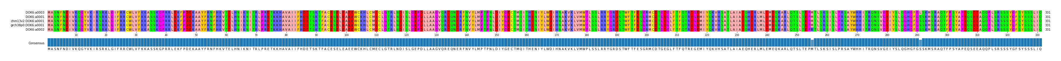 Multiple Alignments (by translate haplotype similarity)