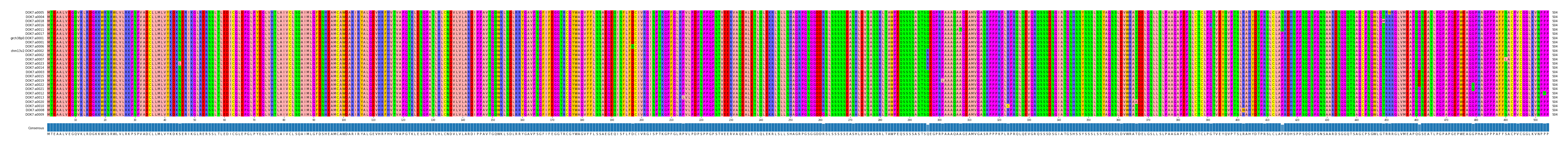Multiple Alignments (by translate haplotype similarity)