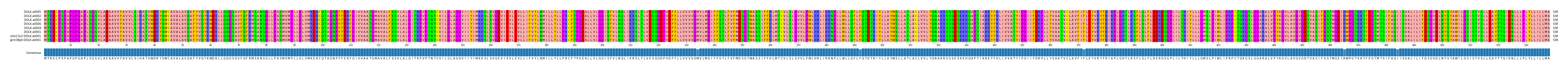 Multiple Alignments (by translate haplotype similarity)