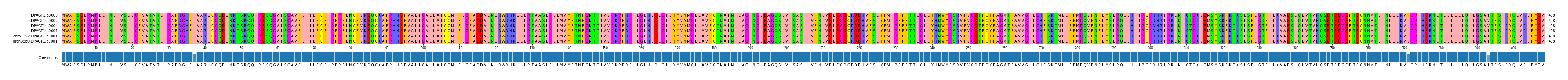 Multiple Alignments (by translate haplotype similarity)