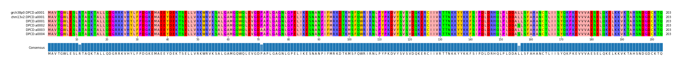 Multiple Alignments (by translate haplotype frequency)