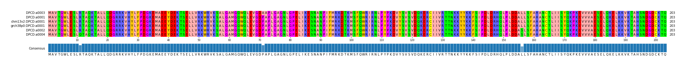 Multiple Alignments (by translate haplotype similarity)