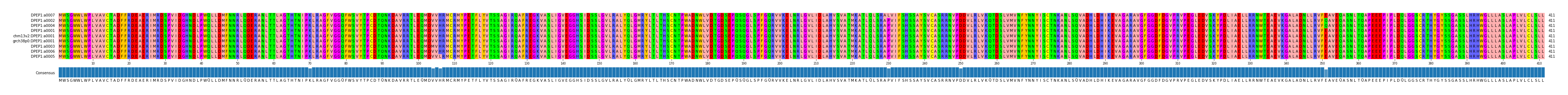 Multiple Alignments (by translate haplotype similarity)