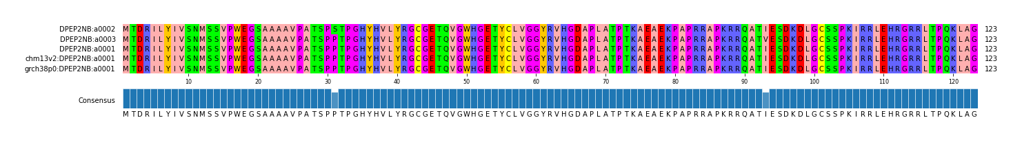 Multiple Alignments (by translate haplotype similarity)