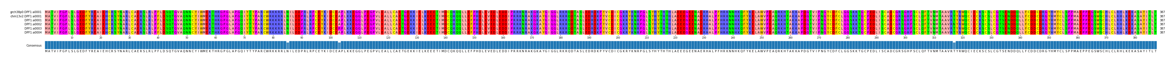Multiple Alignments (by translate haplotype frequency)