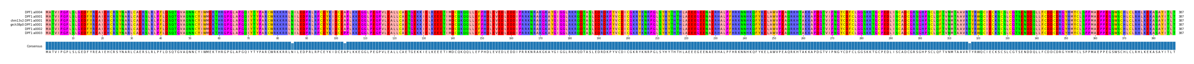Multiple Alignments (by translate haplotype similarity)