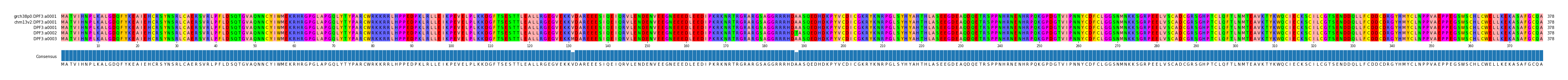 Multiple Alignments (by translate haplotype frequency)