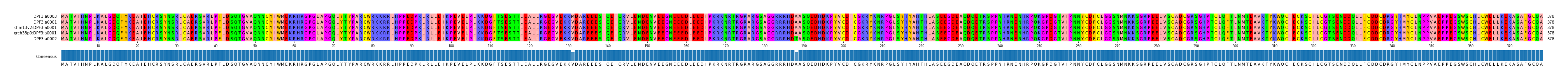 Multiple Alignments (by translate haplotype similarity)