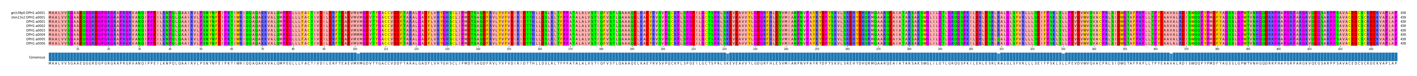 Multiple Alignments (by translate haplotype frequency)