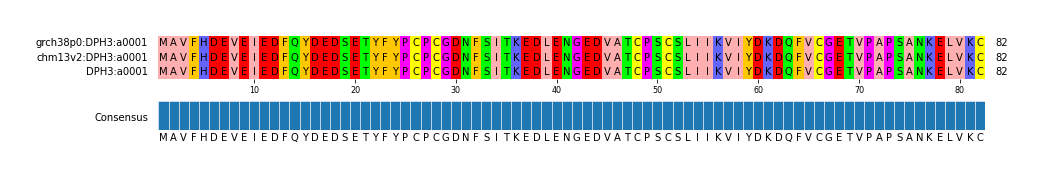 Multiple Alignments (by translate haplotype similarity)
