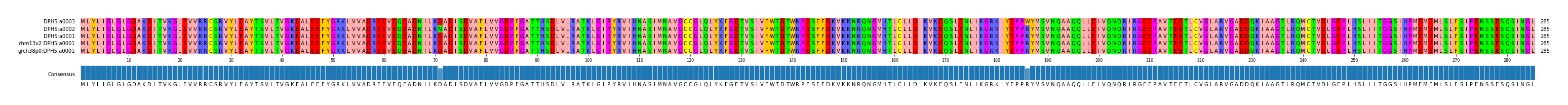 Multiple Alignments (by translate haplotype similarity)