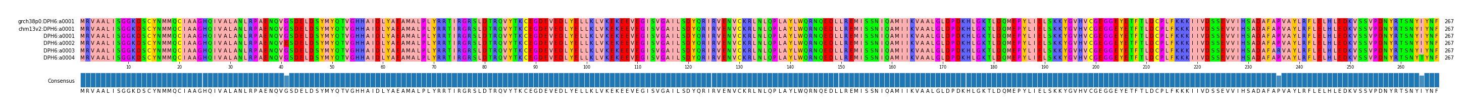 Multiple Alignments (by translate haplotype frequency)