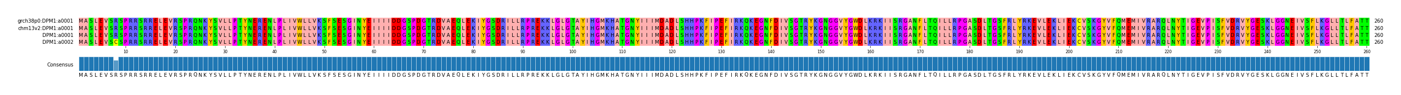 Multiple Alignments (by translate haplotype similarity)