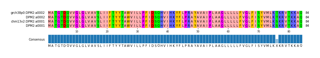 Multiple Alignments (by translate haplotype similarity)