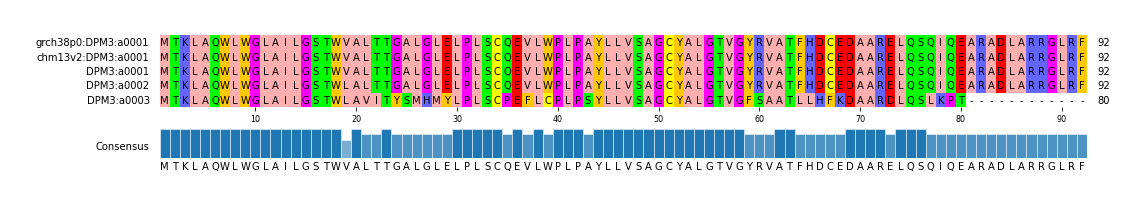Multiple Alignments (by translate haplotype similarity)